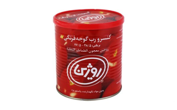 فروش عمده رب روژین